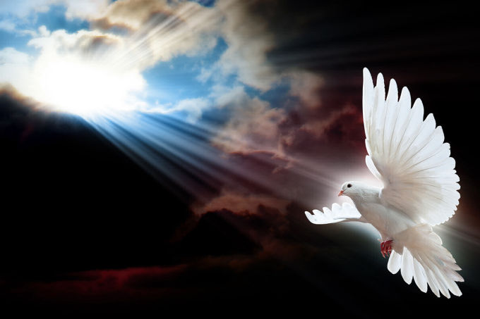 Vineyard Ministries: What we believe - The Holy Spirit